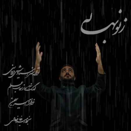 دانلود آهنگ ز نو بهار امیر بهمن